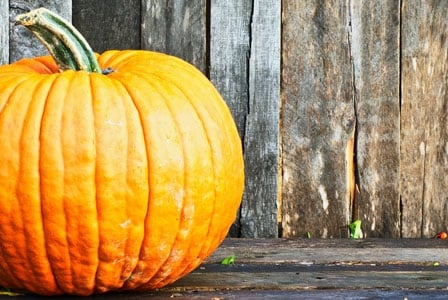 Forget Pie! Here are 5 Unique Ways to Enjoy Pumpkin
