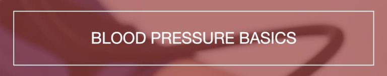 A Beginner’s Guide to Blood Pressure